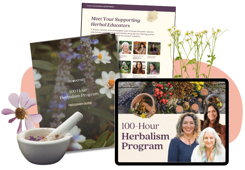 100-Hour Herbalism Program guide