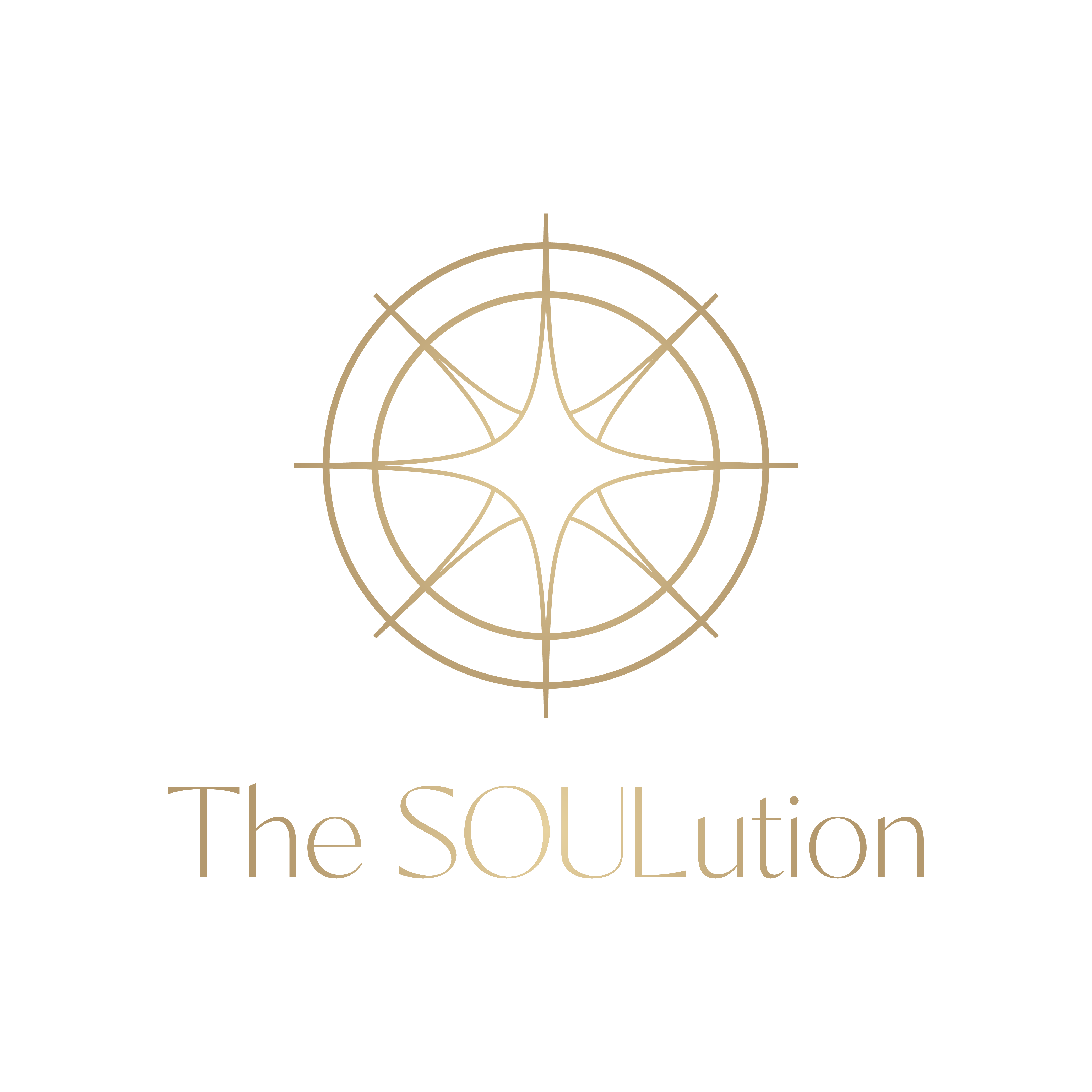 The SOULution Logo