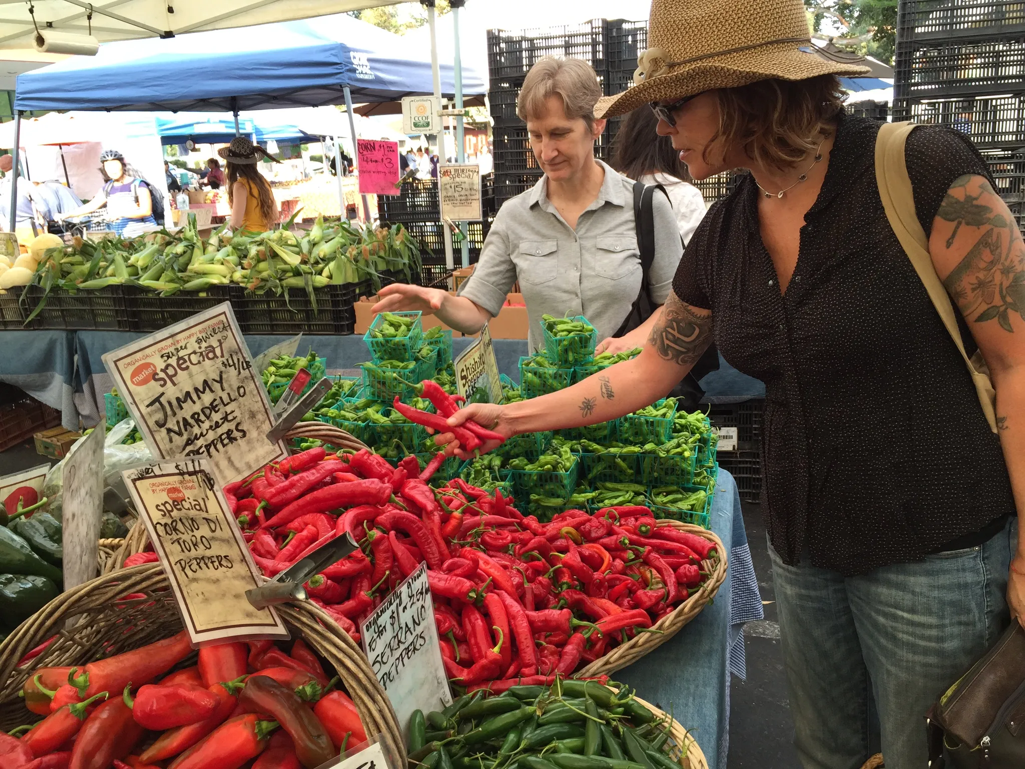 Whole Food Cleanse | Energy Matters