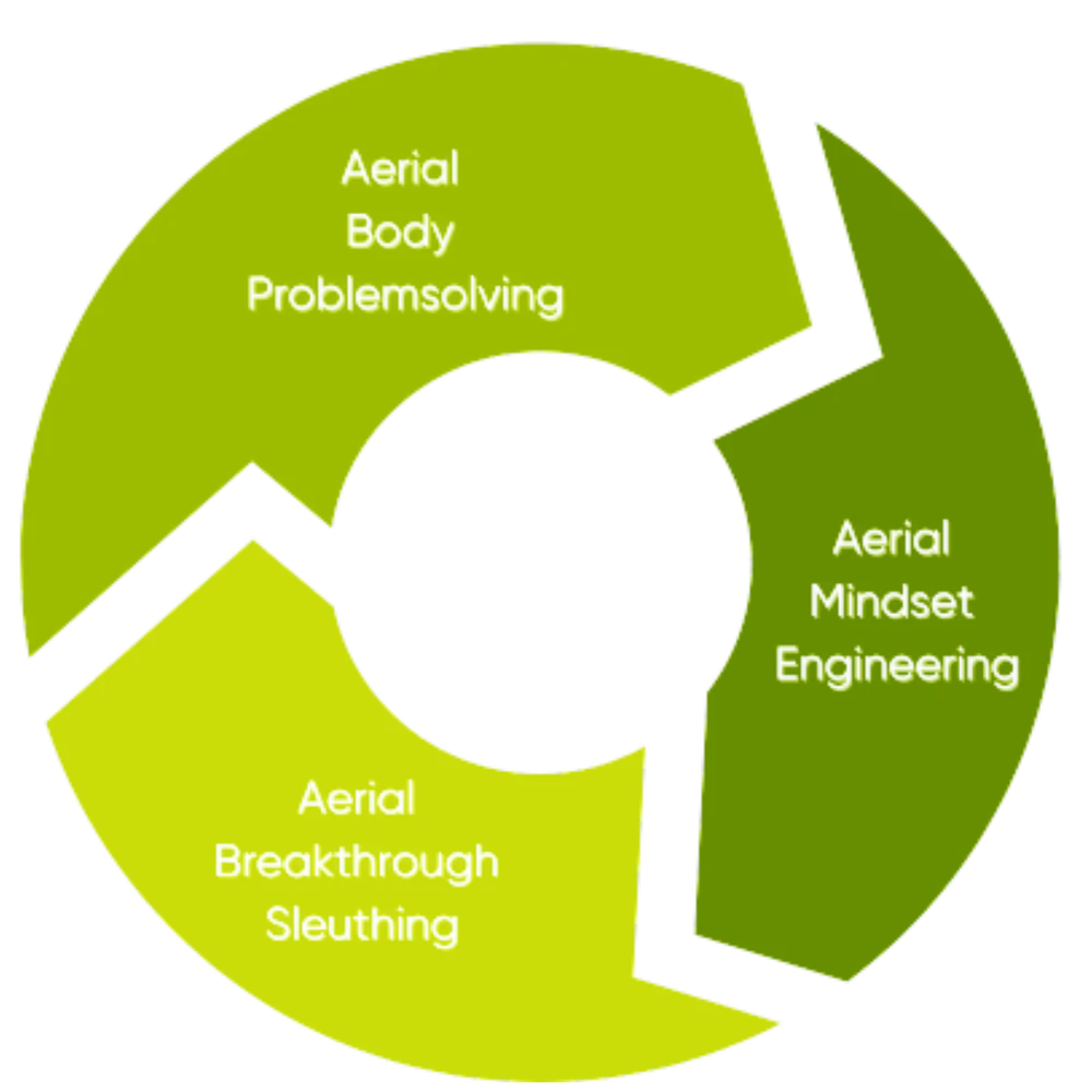 Aerial Body Problemsolving, Breakthrough Sleuthing, and Mindset Engineering diagram