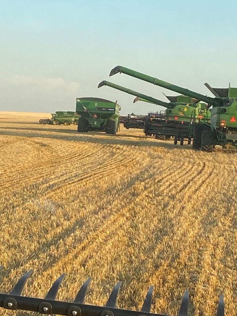 John Deere combines and grain-handling equipment lined up together.