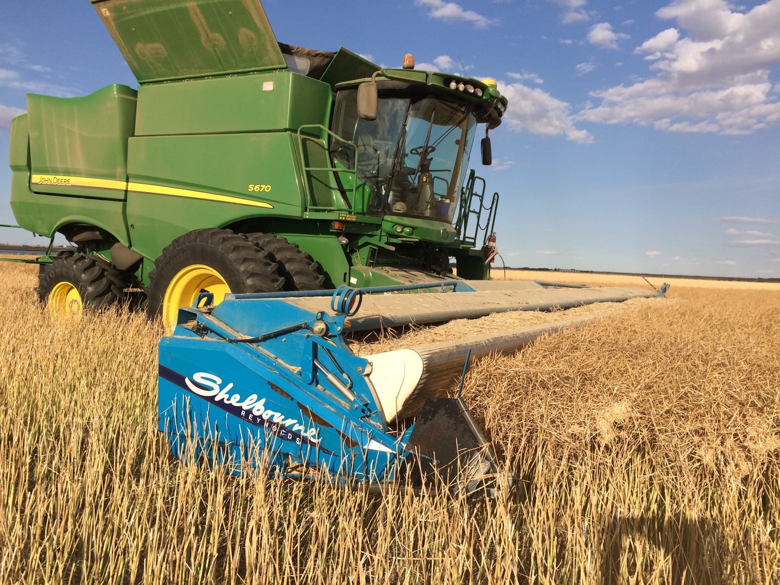 An S670 combine with a Shelbourne Reynolds header in standing grain.