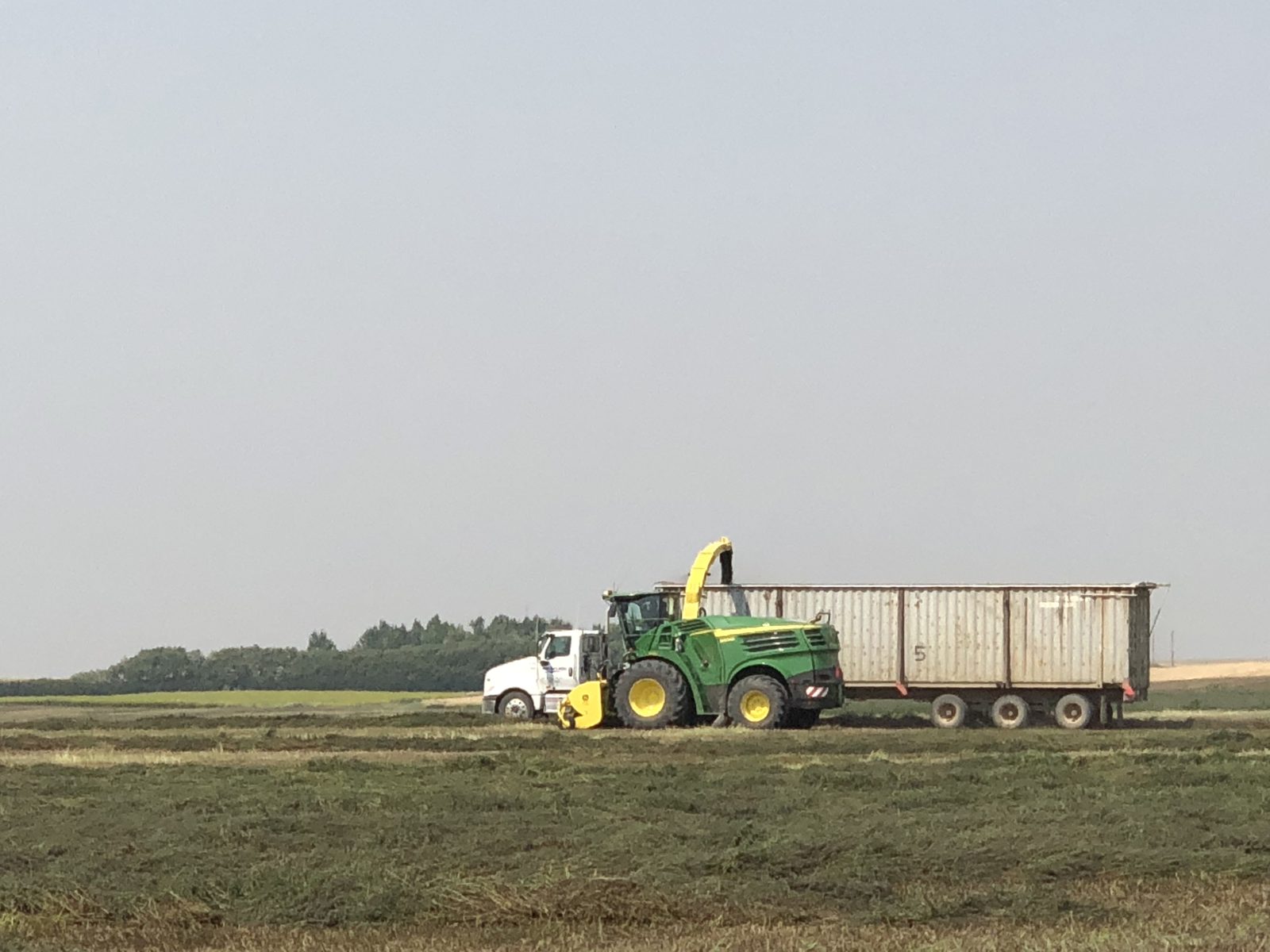 A John Deere forage harvester loading a truck from a windrow.