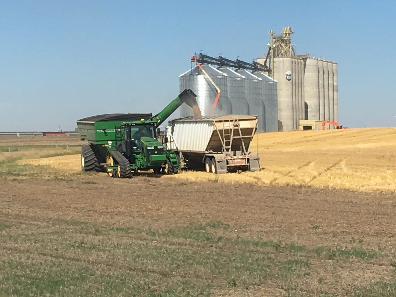 Unloading grain into a semi-trailer with grain storage in the background.