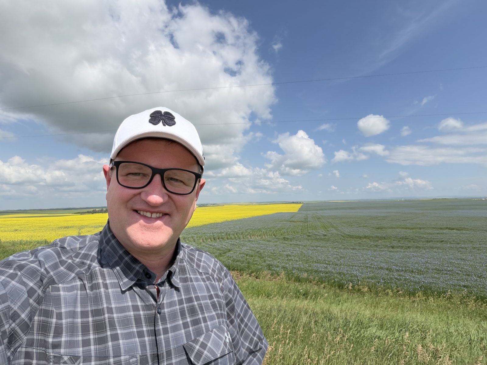 Yellow and blue flowering crops bring colour to the fields.