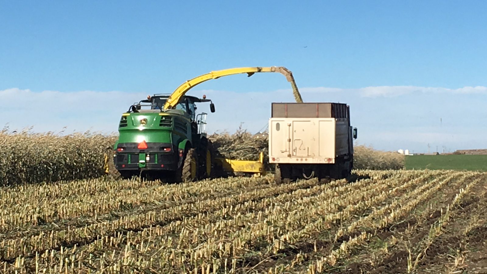 A John Deere forage harvester blowing chopped corn into a truck.