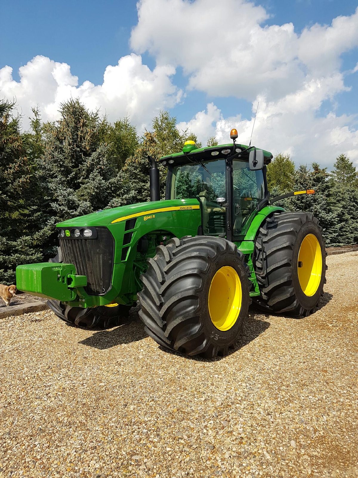 An 8345R tractor parked beside a stand of evergreens.