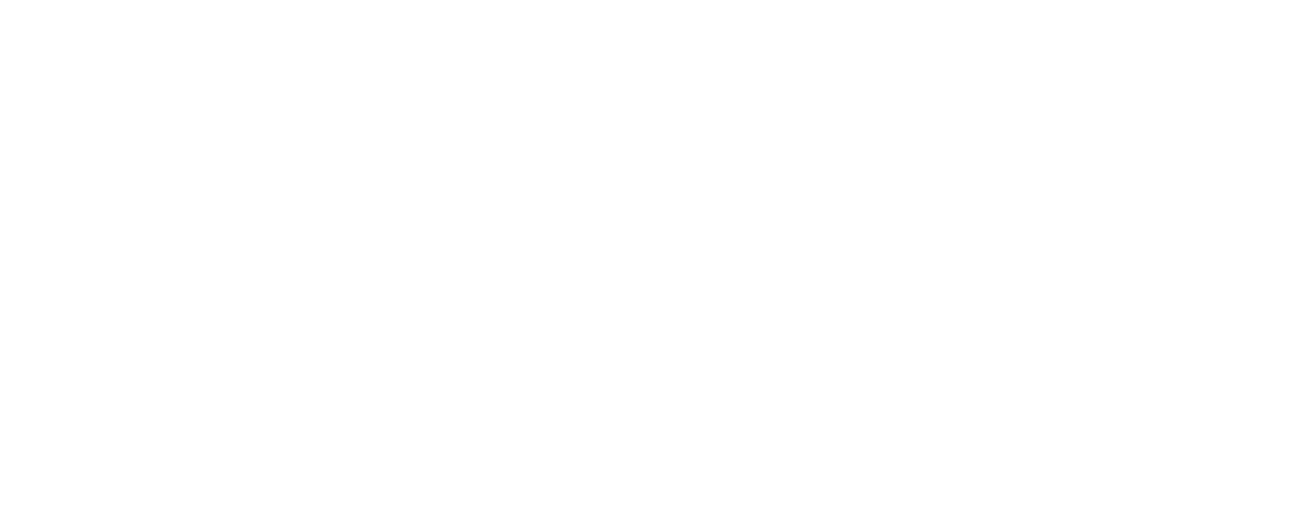 Slay Your Goals