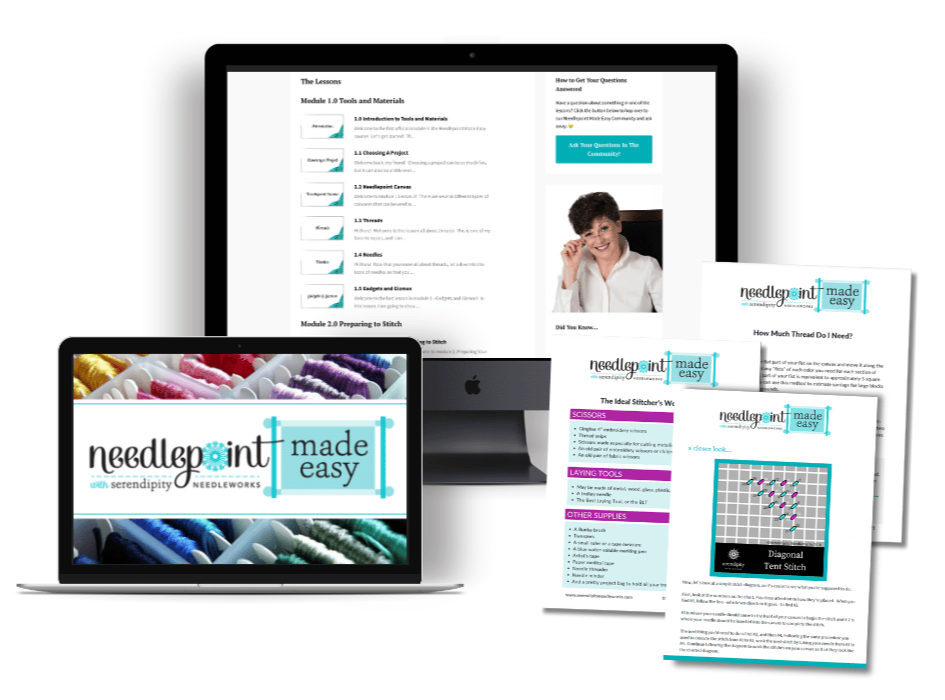 Needlepoint Made Easy course preview