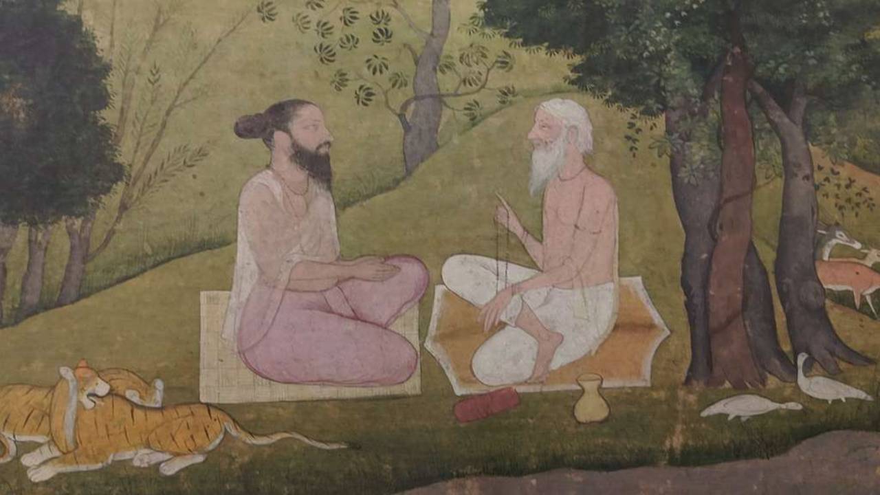 Awakening to View
