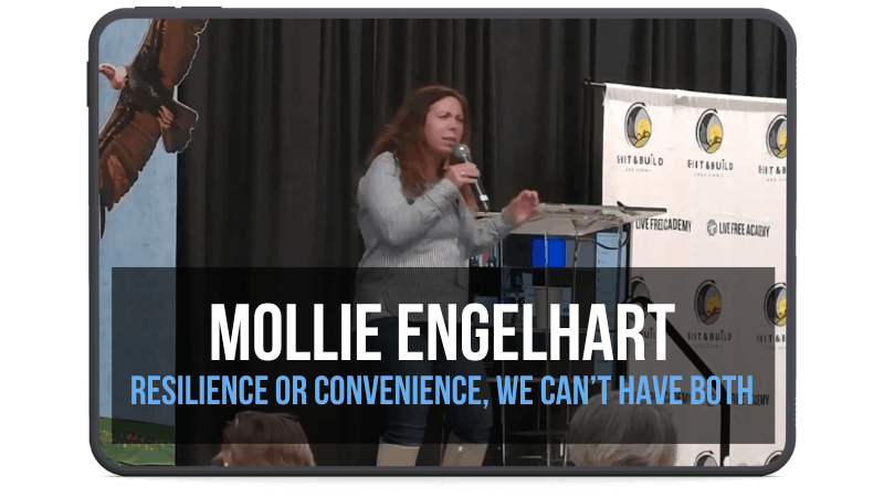 Mollie Engelhart — We Can Have Resilience, or We Can Have Convenience, but We Can’t Have Both