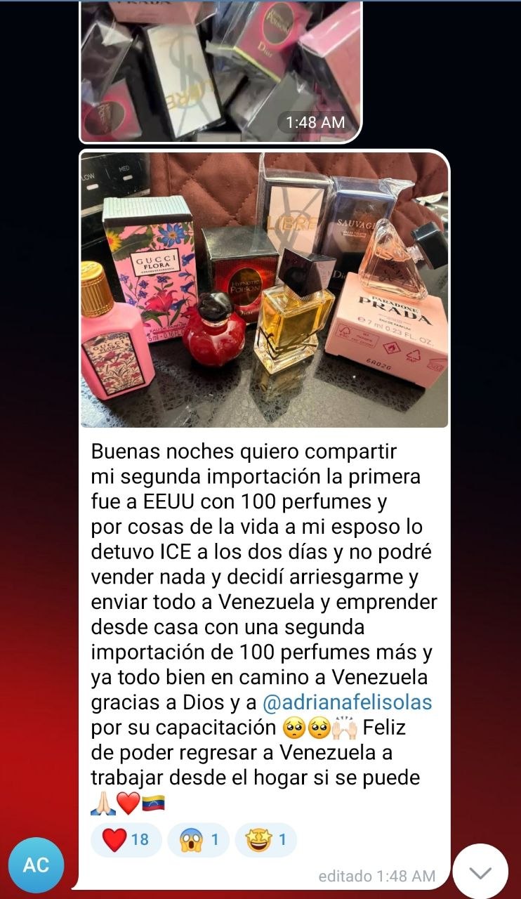 Testimonio - bolsos