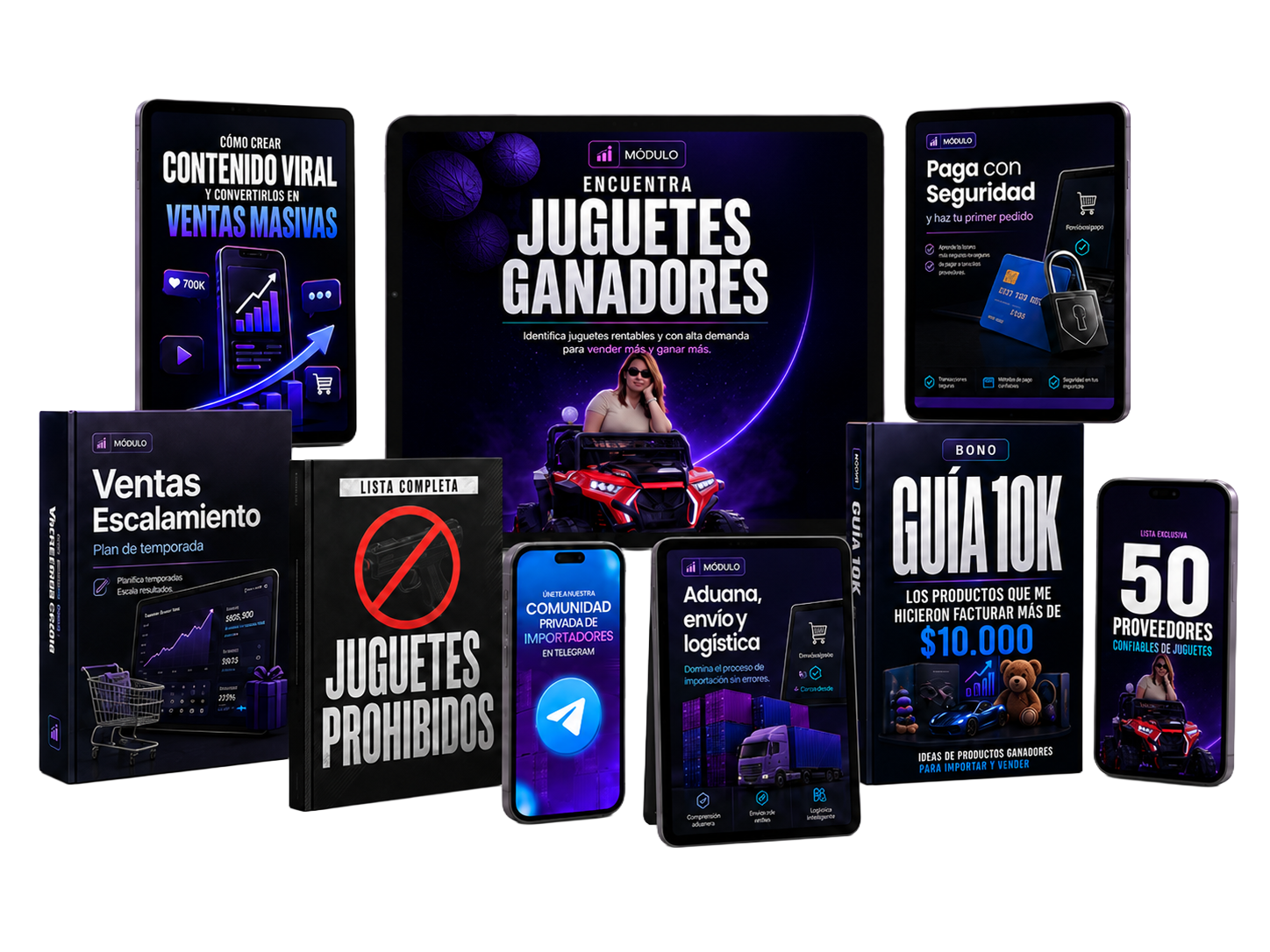 Todo lo que incluye tu acceso: los modulos del programa y los 7 bonos