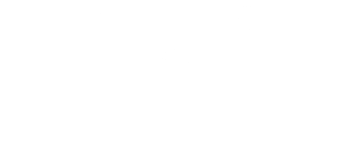 Eyes, feet and brain postural system diagram