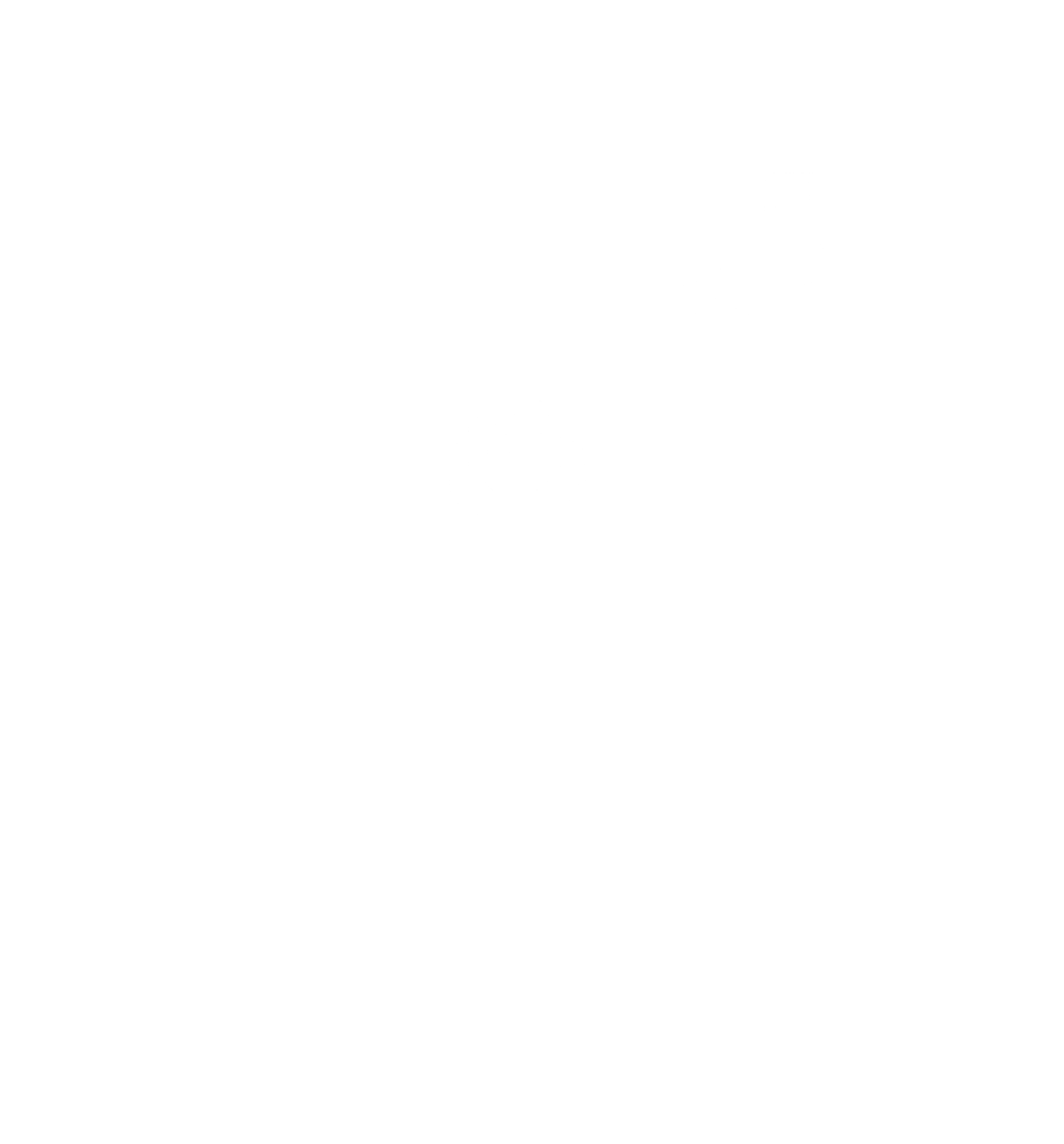 Postural system diagram