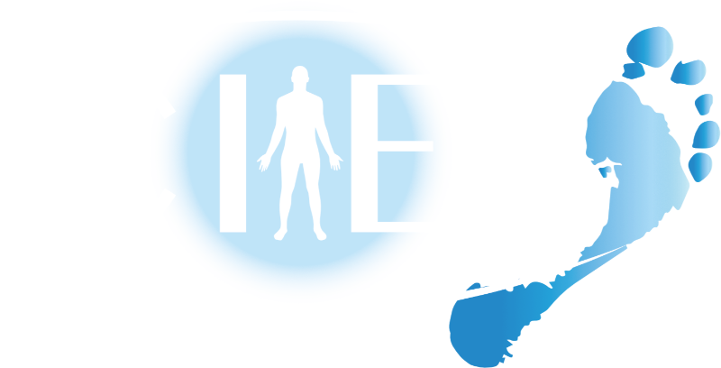 CIES Logo