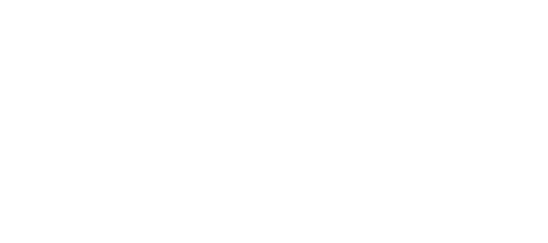 Sistema postural pies ojos cerebro