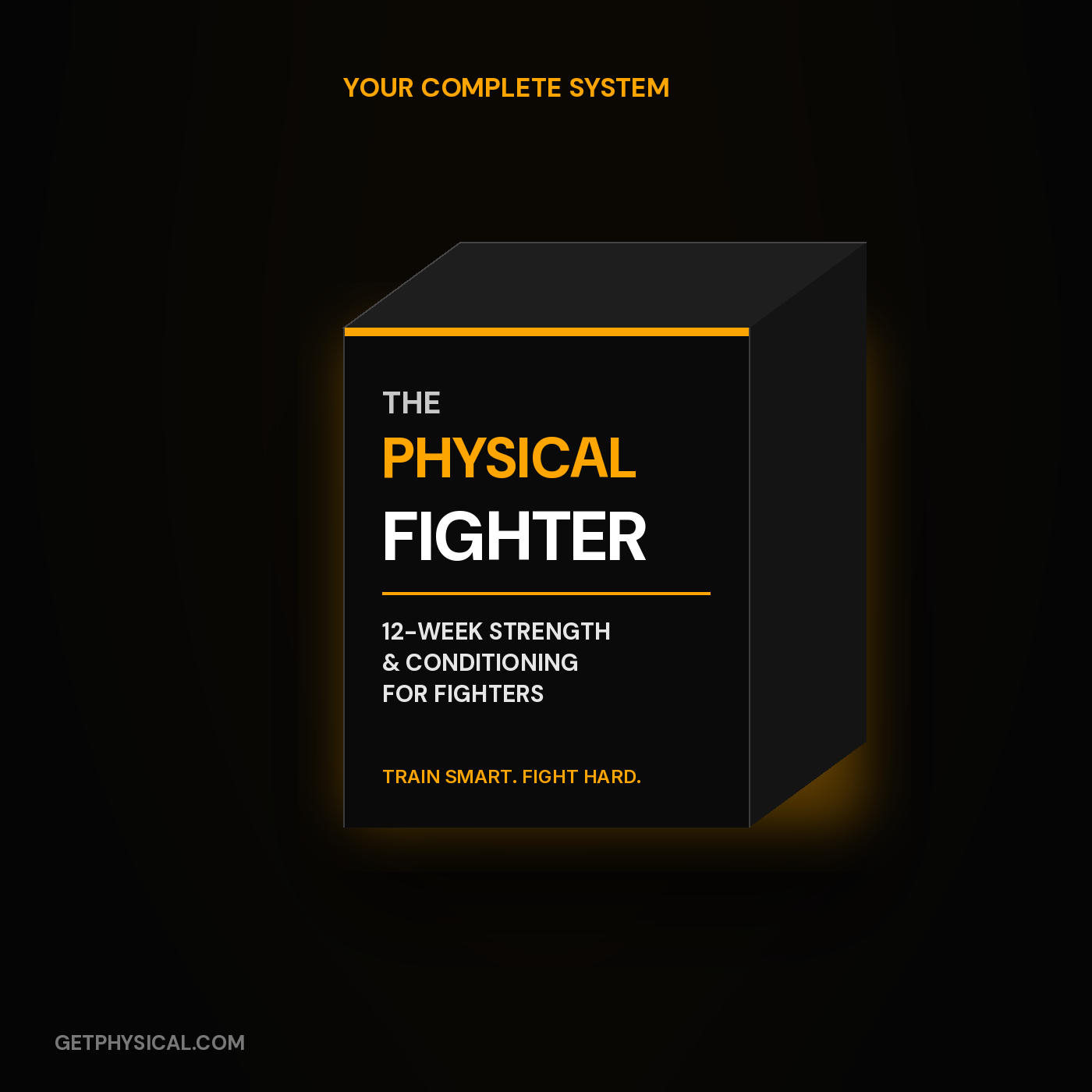PHYSICAL Fighter program box
