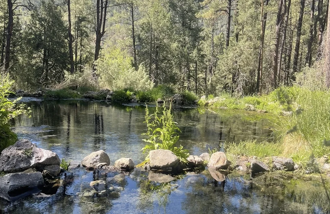 McCauley warm springs, Jemez