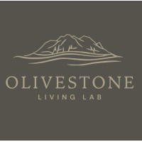 Olivestone AgriFood Living Labs logo