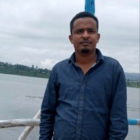 Amir Mohamed portrait