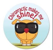 Chiropractic makes me shine - Gonstead chiropractic check-ups for the whole family
