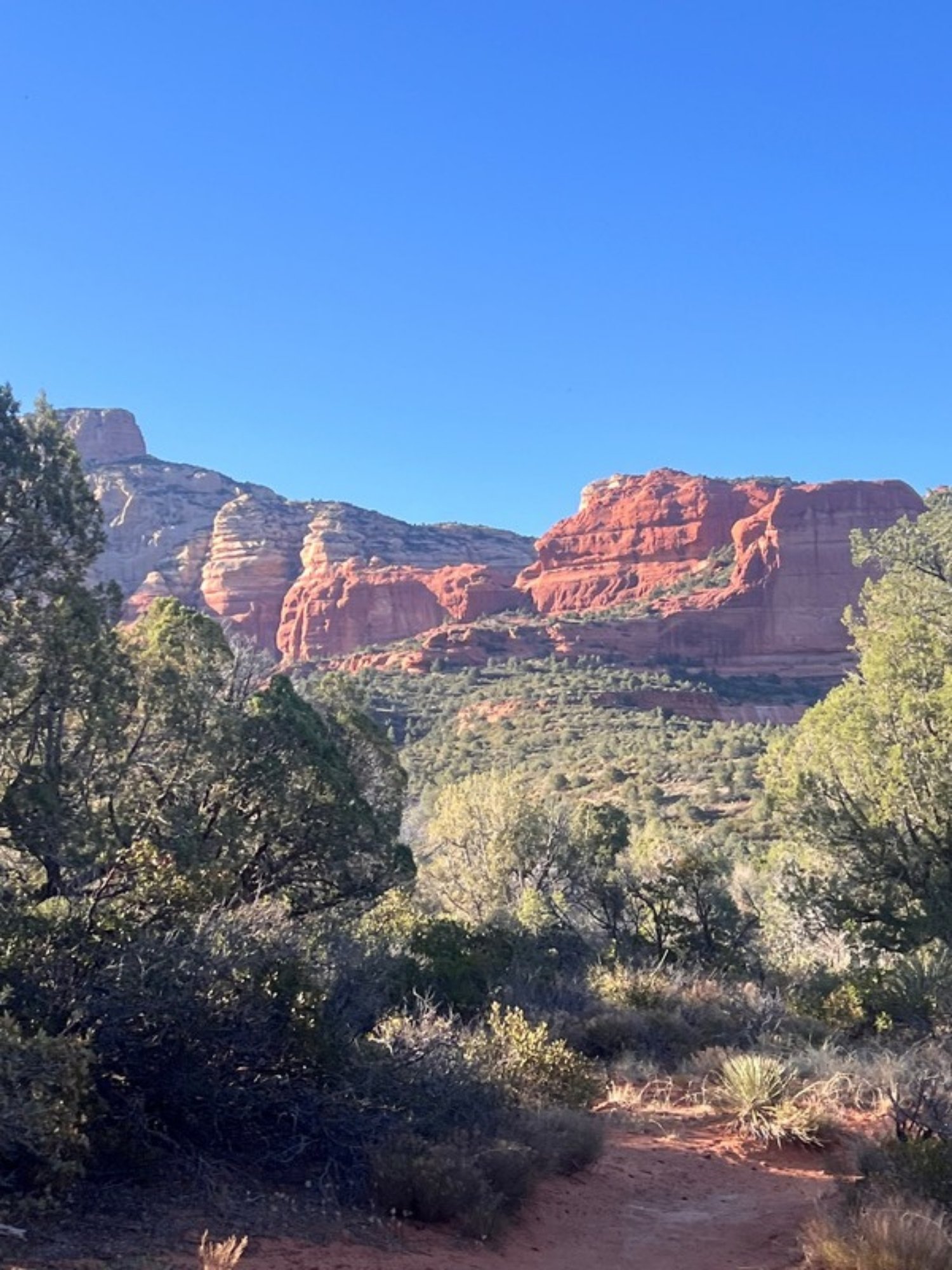 Red rock formations above a desert trail in Sedona