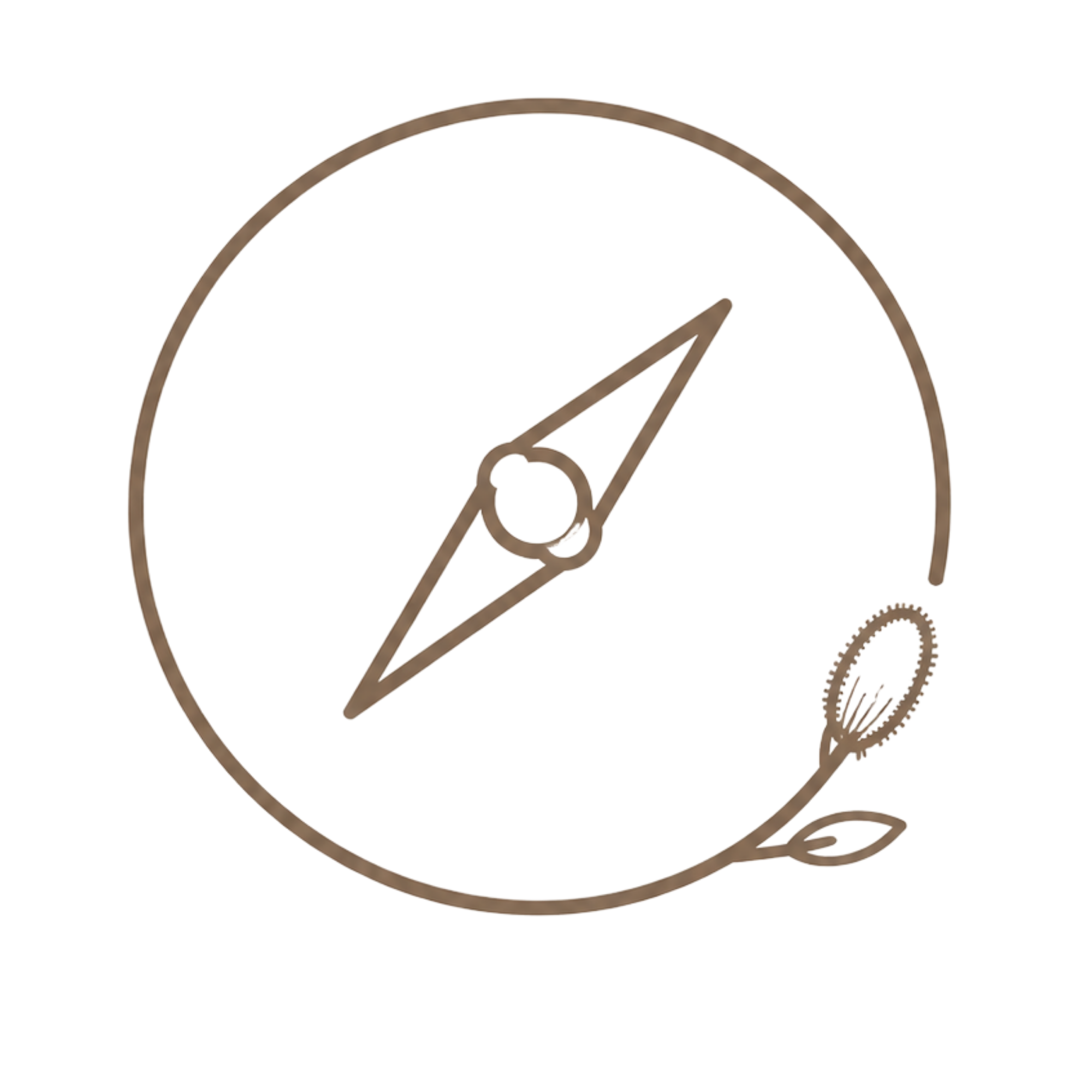 Clarity icon