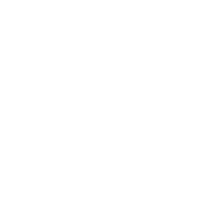 Mindset icon