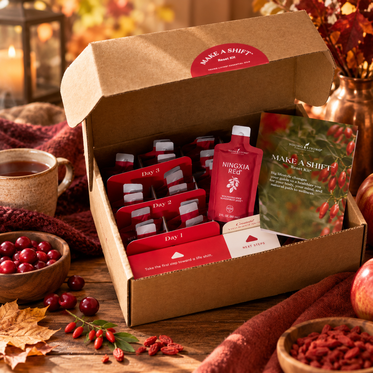 NingXia Red Reset Kits experience