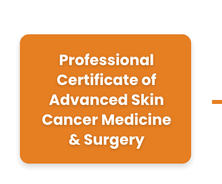 Becoming an Accredited Skin Cancer Doctor
