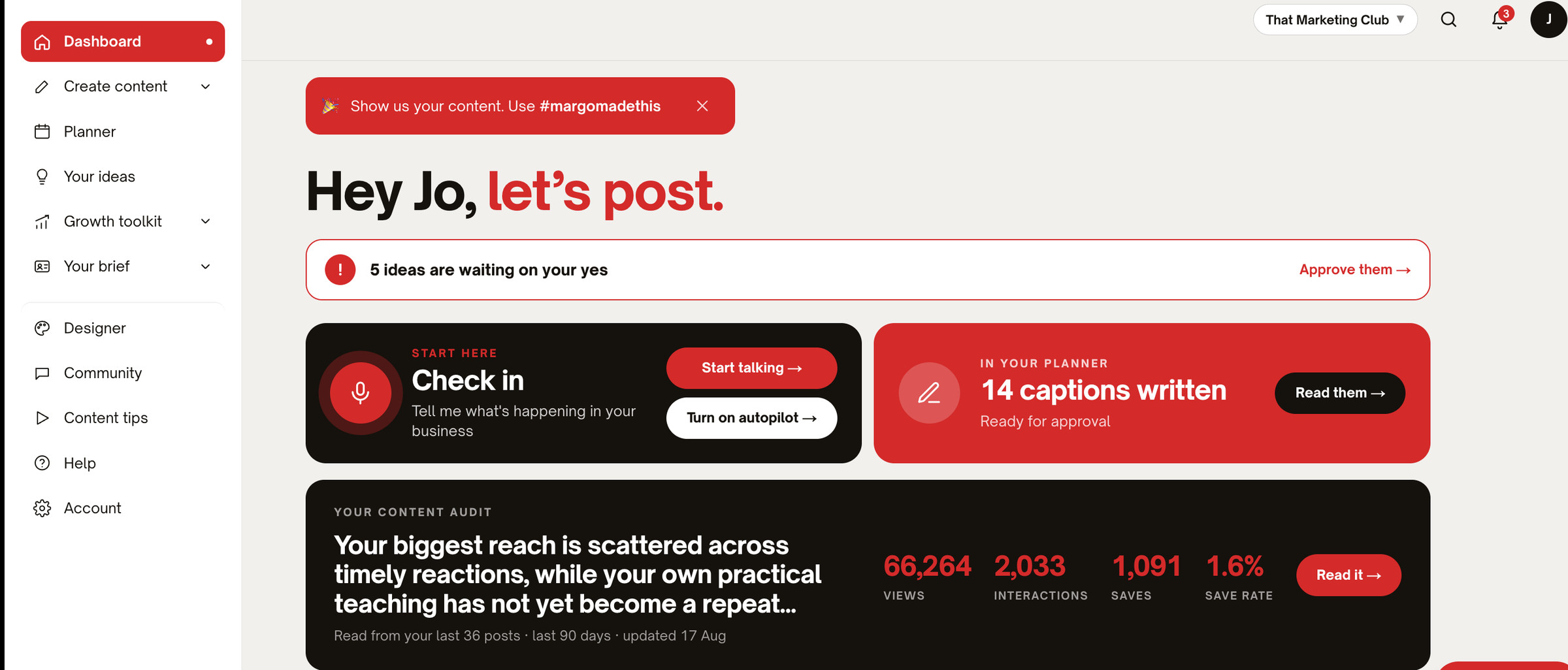 The Margo app dashboard: check in, captions written and waiting for approval, and your content audit