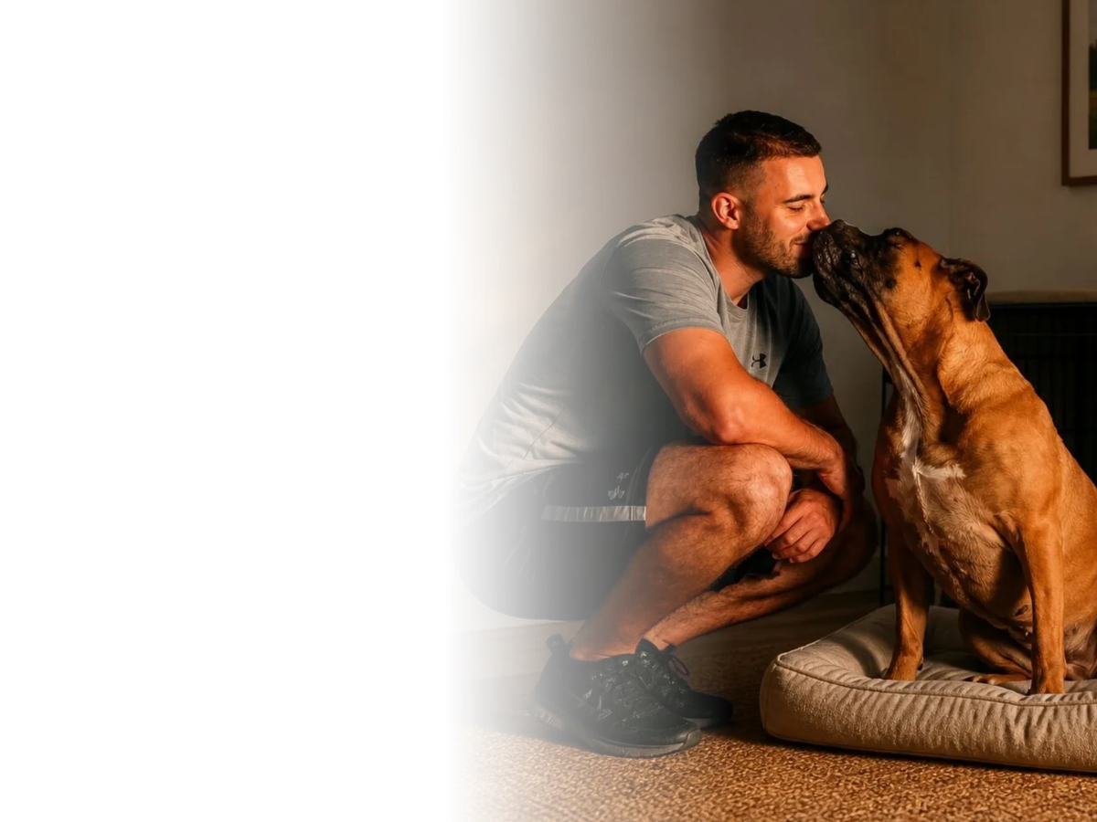 Dog training with calm settled dog