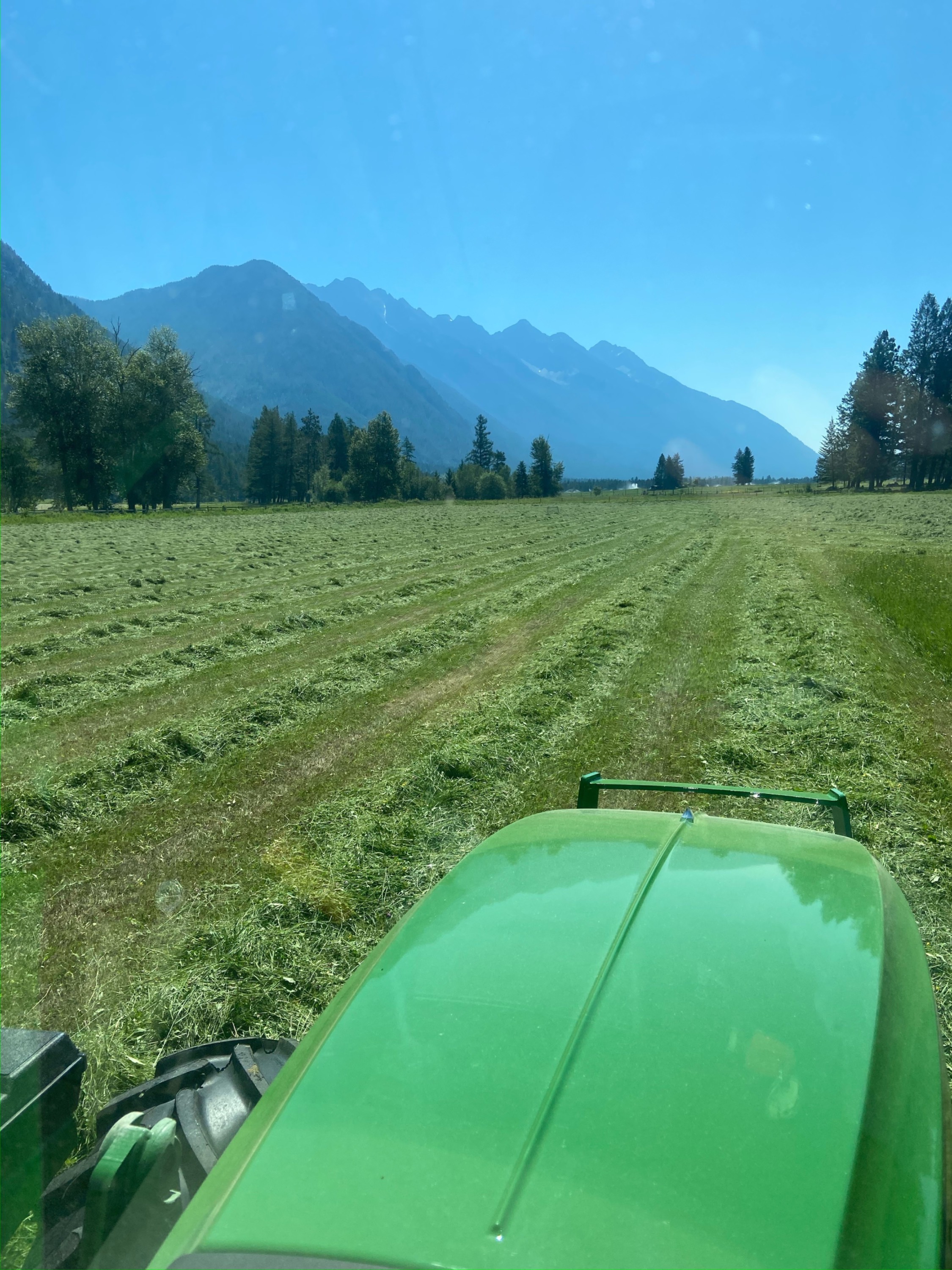 Spring Creek Ranch pasture and field near Fort Steele, BC