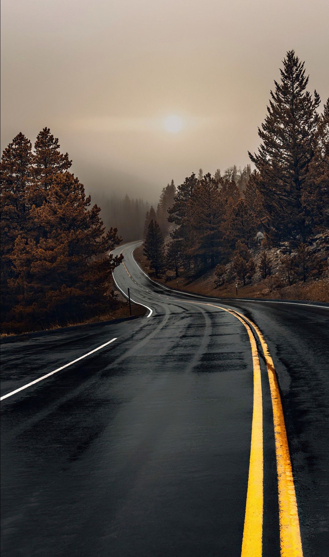 Relationship Roadmap for Men