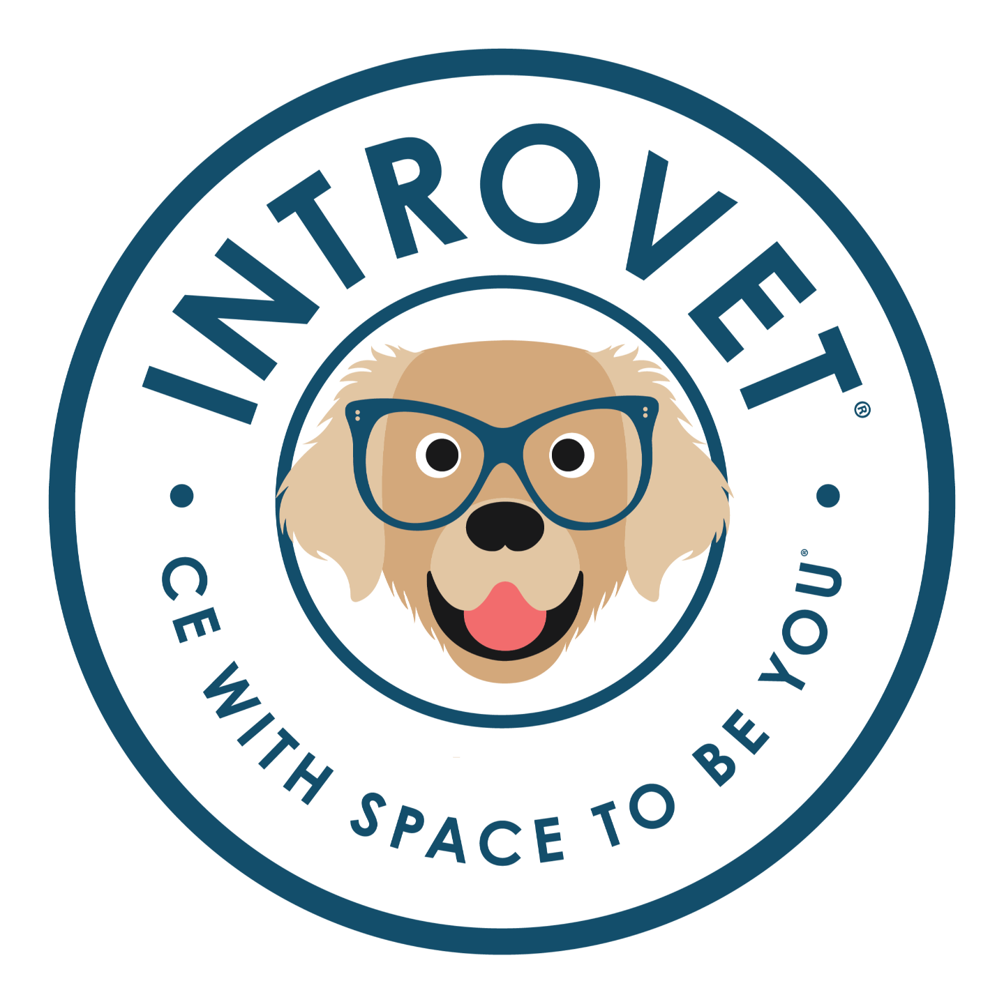 IntroVet seal - CE with space to be you