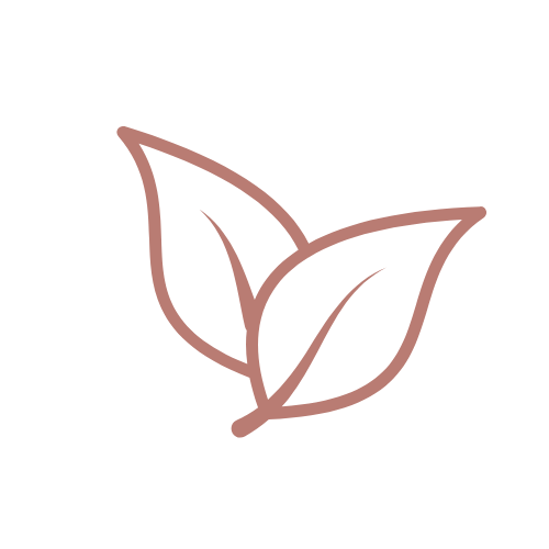 Open book icon