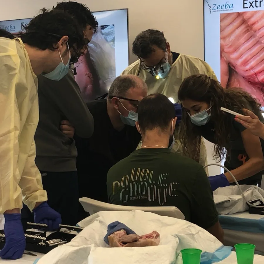 Dentists gathered around a pig-jaw station at a Zeeba hands-on periodontal surgery workshop
