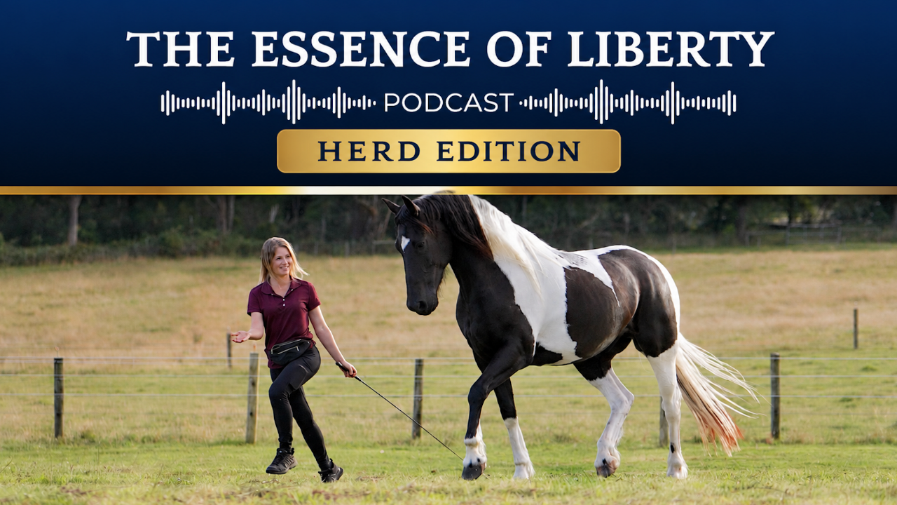 Cover art for The Essence of Liberty Podcast, Herd Edition, over a photo of Nadine walking her piebald horse at liberty