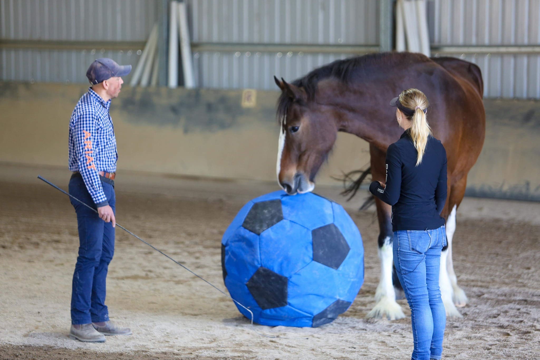 A man holding a training stick standing across from a woman with her horse and a large ball in an indoor arena