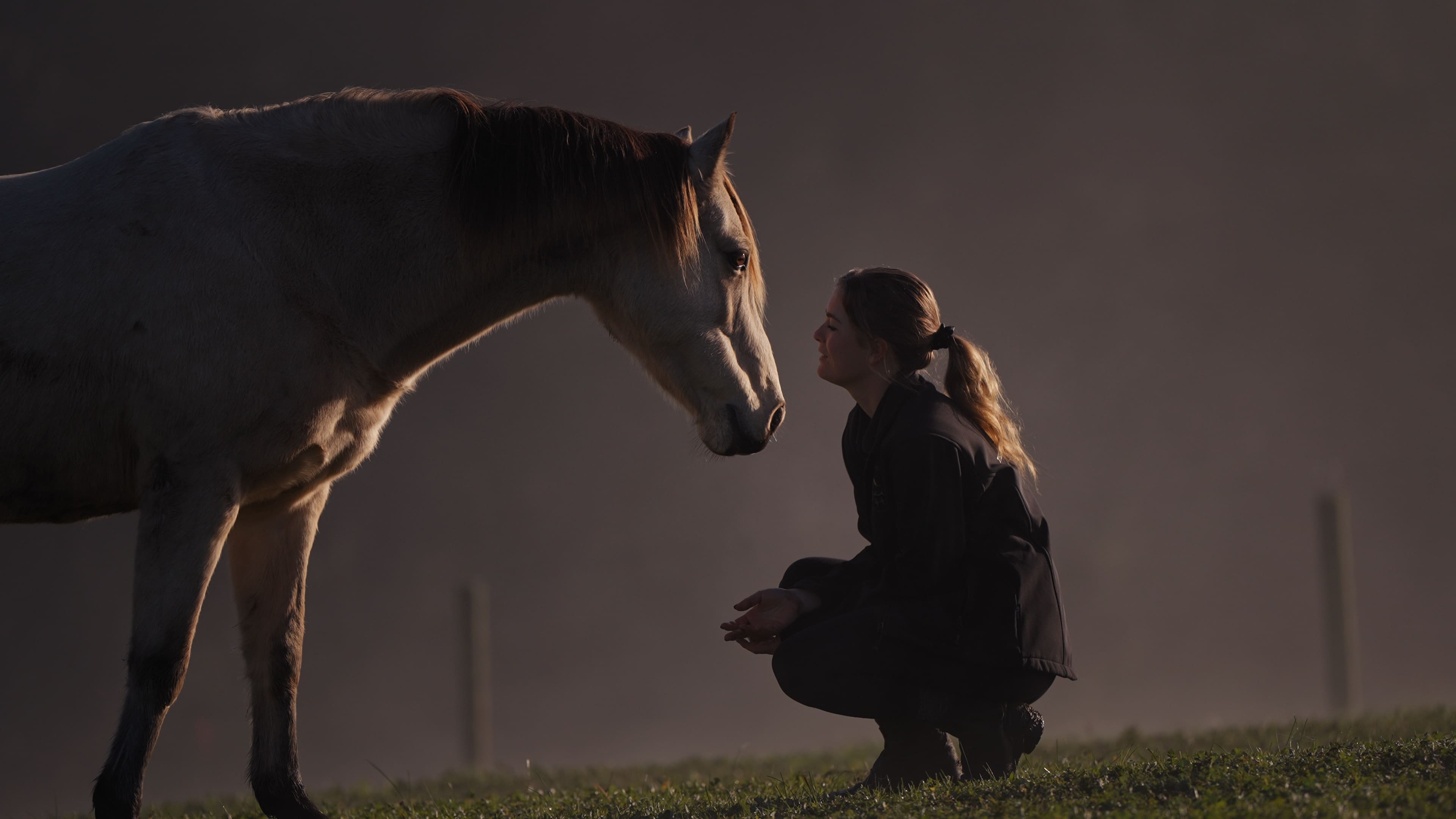 A woman crouching low in the morning mist while a grey horse lowers its head towards her