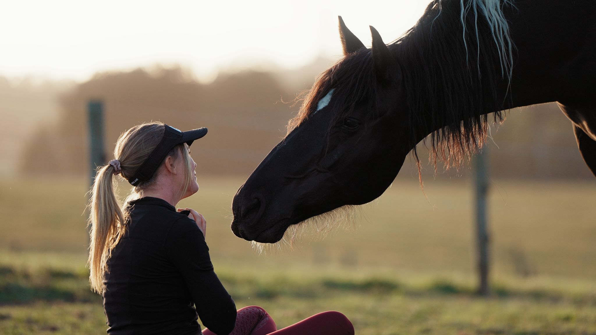 Nadine kneeling in a paddock at golden hour as her dark horse lowers his head to meet her face to face