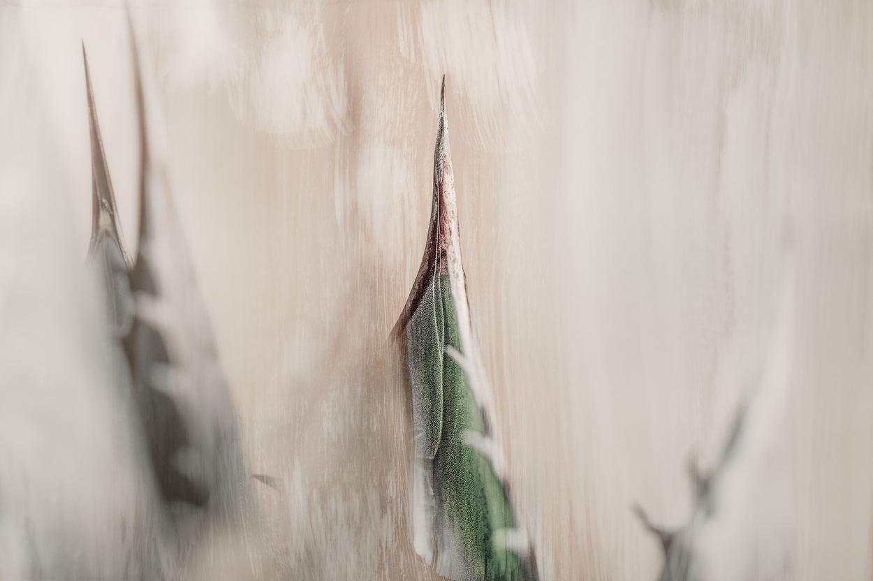 Celebration of Life, a work by Lize du Plessis