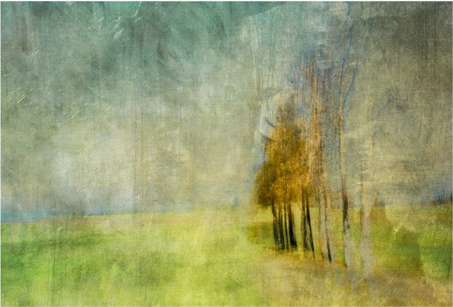Trees in a green field, camera movement and texture