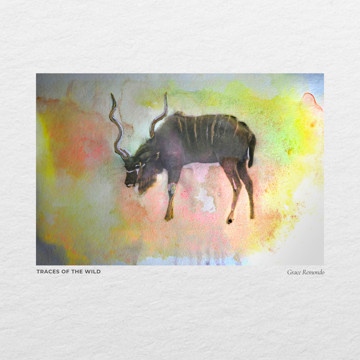 A kudu bull washed in yellow and violet watercolour