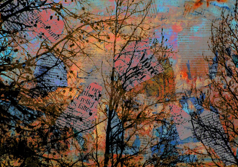 A tangle of bare branches over a hot coral and blue ground