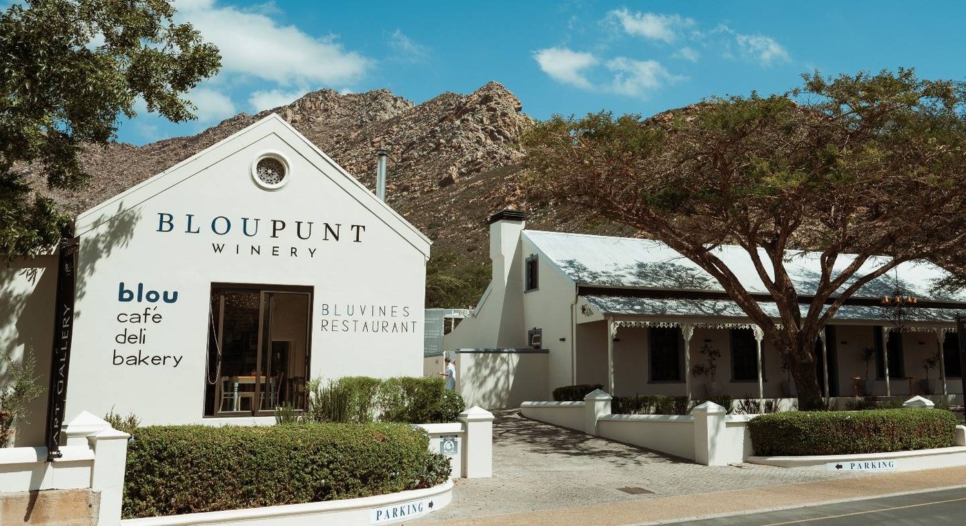 Art of Painting Breakaway, Montagu