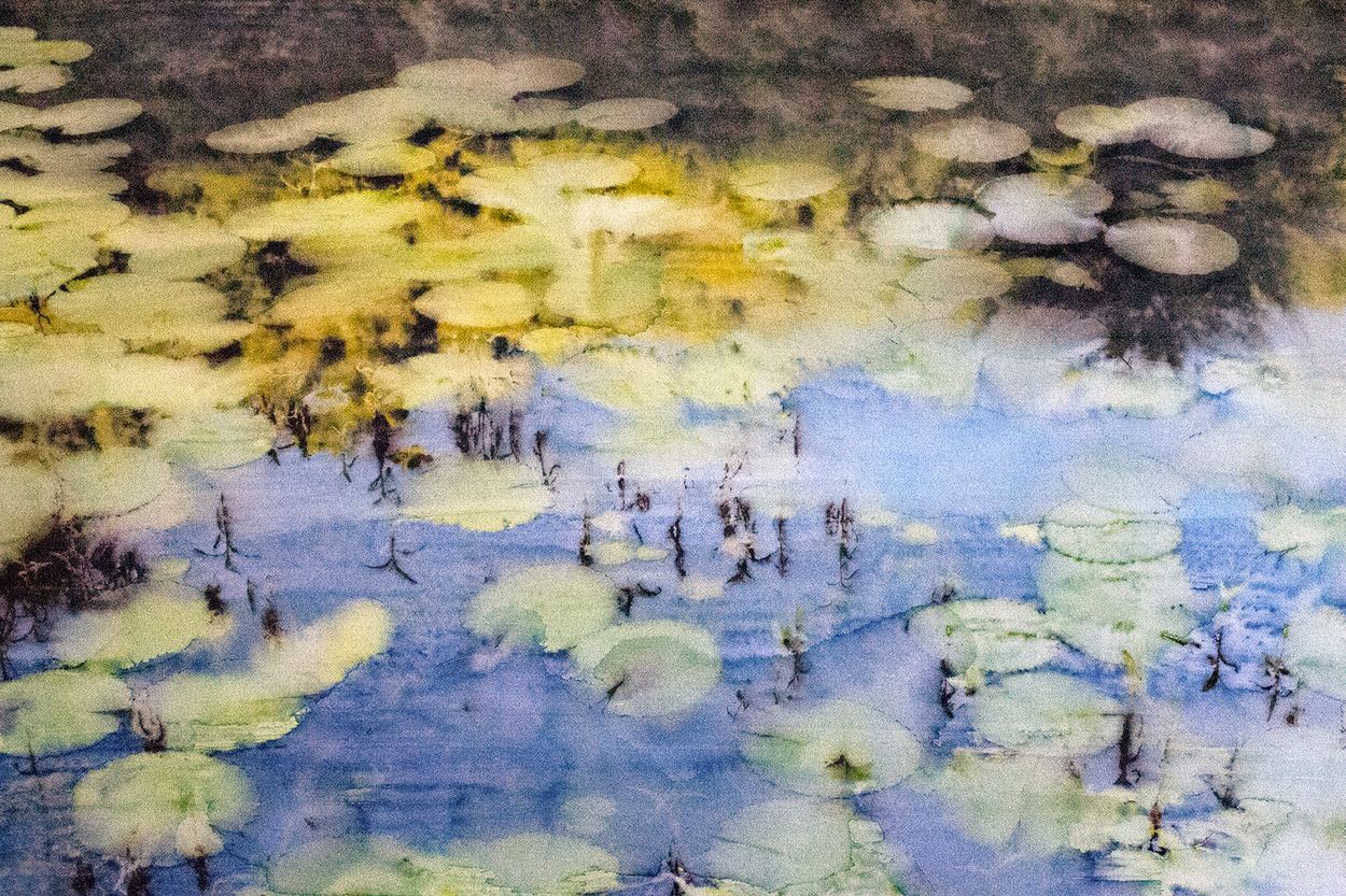 Absence (Flowerless Water Lilies), a work by Engela Gobregts