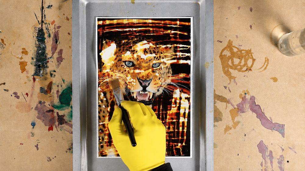 Photographic print with the emulsion bleached back