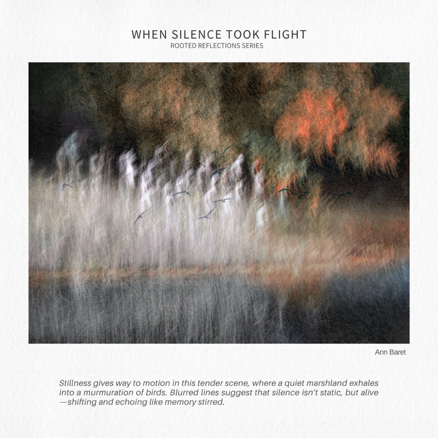 An example of work completed on the Fine Art Photography Masterclass